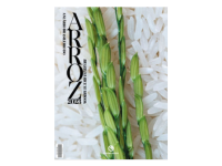 Anuário do Arroz