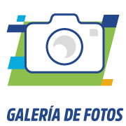 BRZ24FAG-Icones_Site_ES-Verde-Galeria_de_fotos