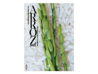 Anuário do Arroz